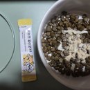 때매 | 강아지'고양이, 리브펫 유산균3.0, 장트러블때매 내돈내산후기