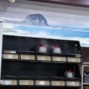 바다예찬 | 제주연동횟집 &#34;바다예찬&#34;, 고등어구이부터 전복뚝배기까지 감동의 한 끼