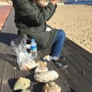 수륙해안로 이미지