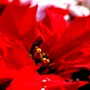 익산문화원 이미지