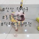 닥터k동물병원 이미지