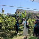 구안농장 | 여자혼자 태국여행 8일차 : 마마노이 쿠킹클래스 솔직후기, 싼티탐맛집 호루몬 , 타이마사지 1인샵