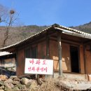 동백쉐이리 이미지