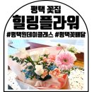 동해-단속-14 | 평택 꽃집 평택 꽃배달 힐링플라워 다녀온 후기