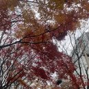 공때리네당구장 이미지