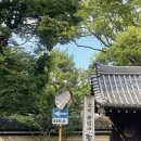 후쿠오카 여행지 추천, 쇼후쿠지 신사 스미요시 신사 다녀왔어요