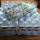 계란한꾸러미 이미지