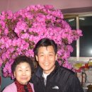 여주-0203 이미지