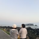 2월호텔더스테이 강서신관 | 제주도 서귀포 가족 여행 숙소 더그랜드섬오름 패밀리 트윈 후기