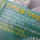 집밥먹개 집밥먹냥 이미지