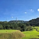 (주)가자항공여행사 이미지