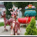 허브아일랜드식물원 이미지