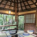 다이씀 | 25.05.20_아프리칸사파리,사기리다이 전망대, 료칸 호텔 호테이야, 유후인, 온천탕 후기