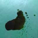 기아자동차(주)대전서비스센터 이미지