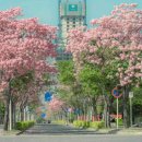 봄음악학원 - 용인시 처인구 한숲로 45 | 봄음악학원