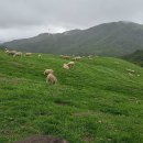 다우목장 이미지