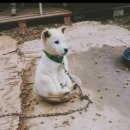 삼시세끼푸드 이미지