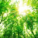 오룡하우스 이미지