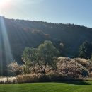 Rainbow Hills 이미지