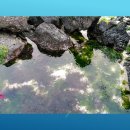 성우노래연습장 이미지