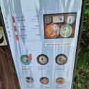 백운정 | [의왕] 자가제면백운정 &amp; 설빙