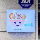 꼬마카롱 이미지