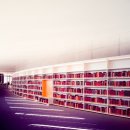 동국대학교 교육대학원 이미지