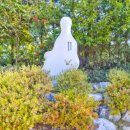 배산체육공원 농구장 이미지