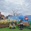 어른이도 좋아하는 안성팜랜드 데이트 솔직후기🌼