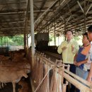 경보축산 이미지