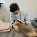 영등포동물병원 이미지