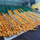 은이농장 이미지