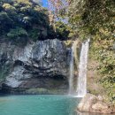 관광단지로(서) | 제주 천지연폭포 용의 신화가 담긴 서귀포 관광명소