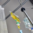 종촌제일연합내과의원 | 감기몸살에 링거까지! 세종 종촌동 이 병원, 의료진 친절에 감동받았어요 😊💉