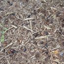 장수의 땅 그리고 이미지