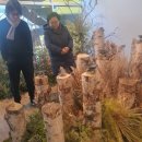 영화빌딩 이미지