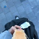 수도산체육공원 축구장 이미지