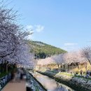 해수천1호 이미지