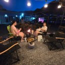 느티타무 그늘아래 캠핑장 | 제천 키즈캠핑장 솔내음캠핑장 느티존 벚꽃존 장단점 정리