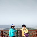 양숙이네 이미지