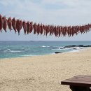 바다정원민박 이미지