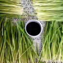 초원농장 이미지