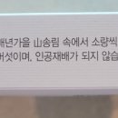 자연속에영농조합법인 이미지