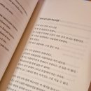 스테이독 이미지