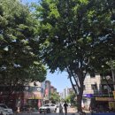 카페] 카페쿠어 – 분좋카 느낌 물씬! 민트유자에이드, 그릭요거트 솔직 후기 (+신중동역 위치, 분위기)