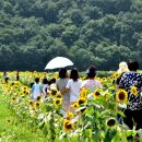 진안마을 주식회사 이미지