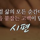 시편집의 탄원시편 분포와 기도의 여정 이미지