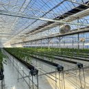 스마트농장 이미지