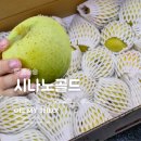 문경 Fine | 시나노골드 푸릇송송 노란 사과 5kg 맛 후기