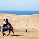 돗토리
